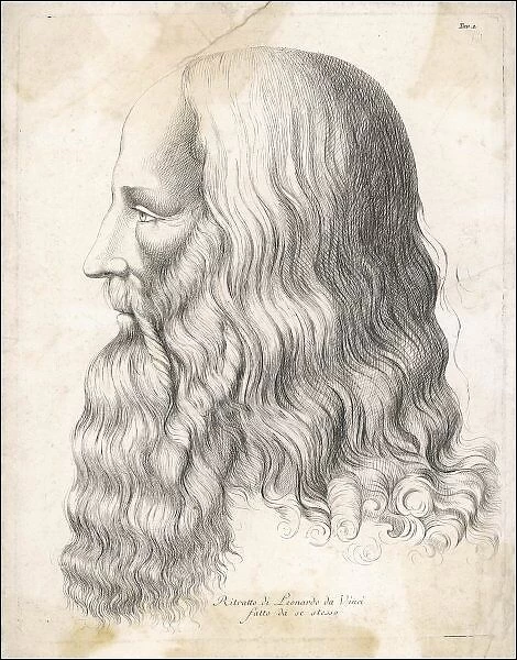 Da Vinci  /  Self  /  Profile