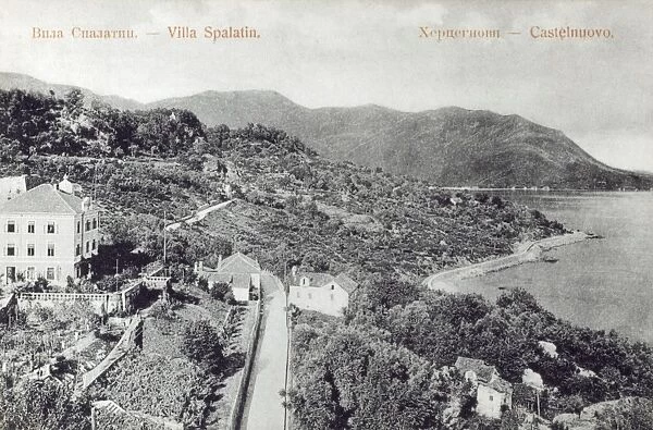 Herceg Novi - Montenegro - Villa Spalatin