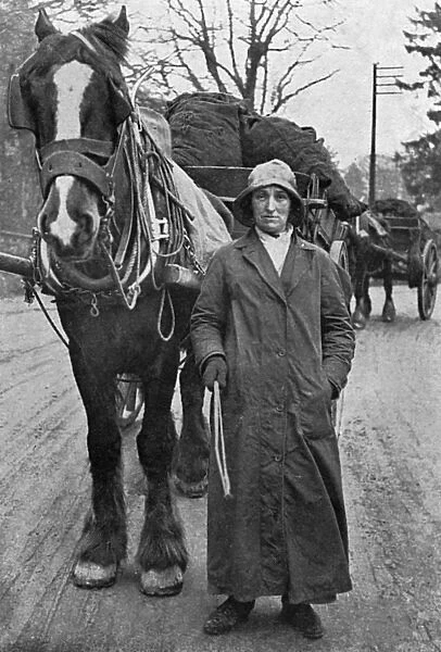 Lady with carthorse and coal, WW1
