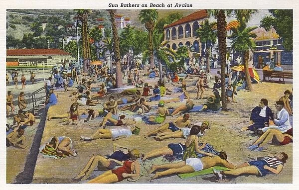 Sunbathers on beach, Santa Catalina Island, California, USA