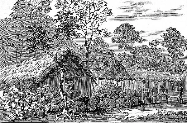 Town of Barracoe, Gold Coast, 1874