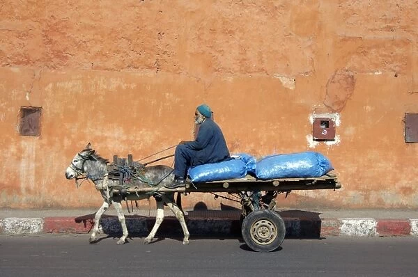 Donkey and cart transportation