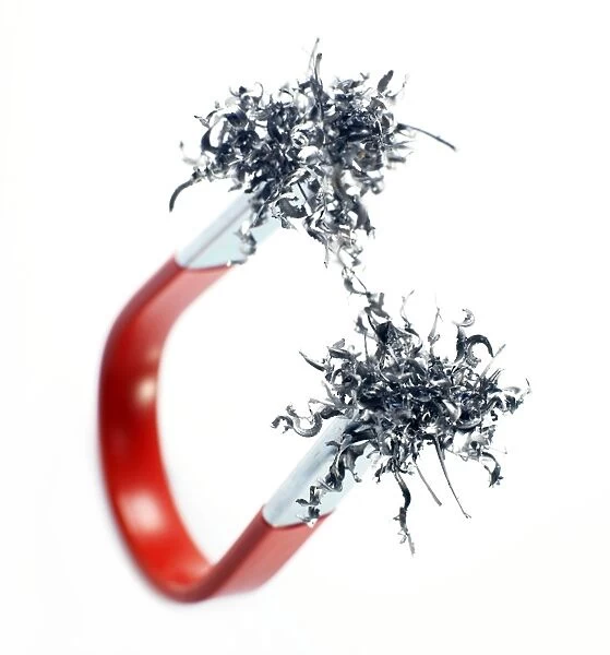 Magnetism. Iron shavings attracted to two ends of a horseshoe magnet
