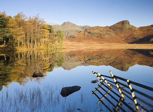 Langdale Pikes reflected in a mirror like Blea Tarn in the early morning, Lake District
