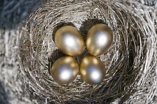 4 Golden eggs in a nest