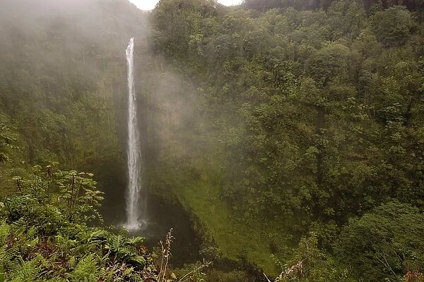 Akaka Falls, Big Island, Hawaii. (rr)