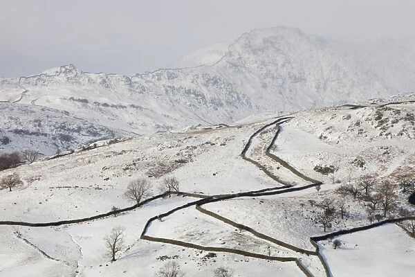 Drystone walls on Red Screes in the Lake District UK in the snow