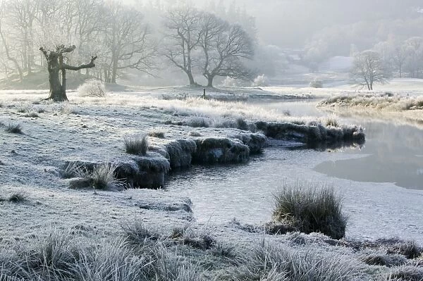Frost at dawn on the River Brathay near Ambleside UK