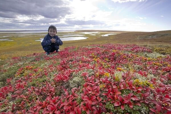 Inuit child on the tundra at the mouth of the sepentine river near Shishmaref a tiny island between alaska and siberia in the Chukchi sea is home to around 600 inuits or eskimos. As hunter gatherers their carbon footprint is tiny and as such are