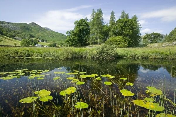 Little Langdale Tarn in the Lake District UK