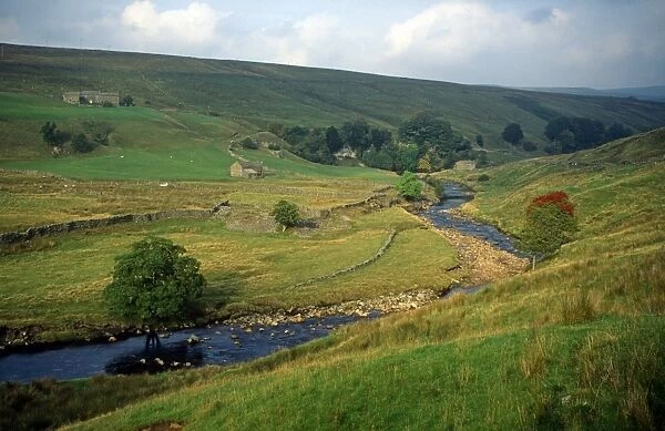 Looking down Arkengarthdale, with stone barns and houses, and mountain ash in fruit. Yorkshire Dales National Park, England