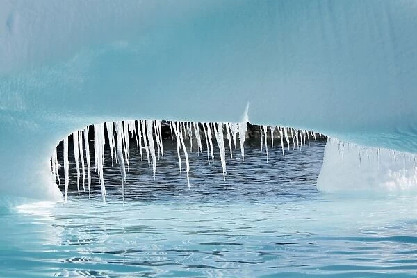 Detail of a melting iceberg (note the dripping icicles) grounded at Heroina Island in the Weddell Sea, Antarctica