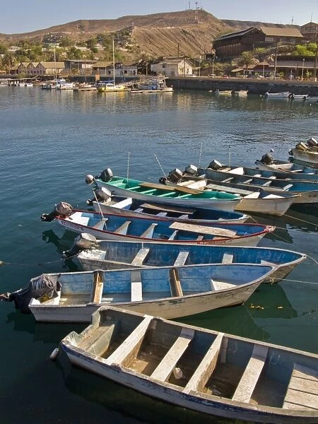 Mexican fishing boats called pangas in the port town of Santa Rosalia, Baja California Sur, on the Baja Peninsula