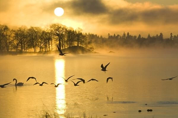 A misty dawn on Lake Windermere in the Lake District UK