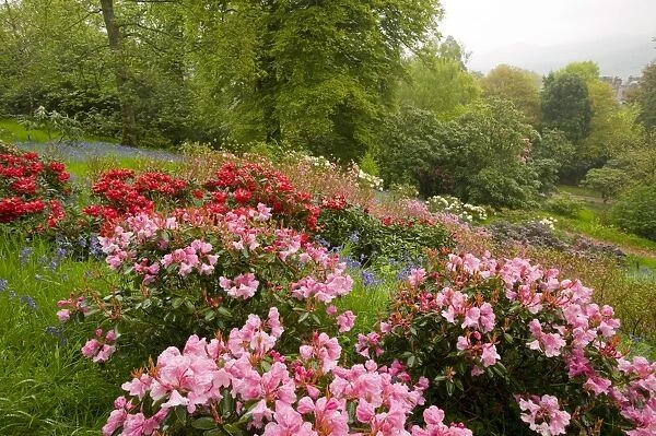 Muncaster Castle gardens in Cumbria UK
