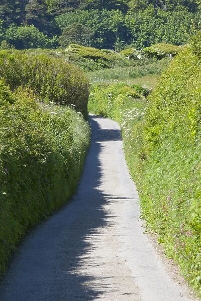 A narrow lane above lee Bay on the North Devon Coast, UK