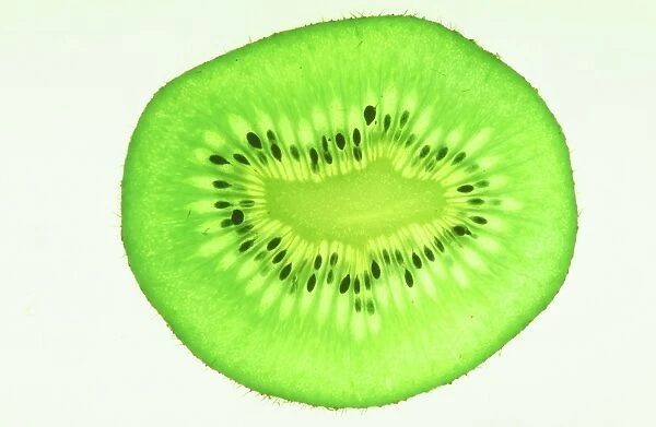 A slice of Kiwi fruit