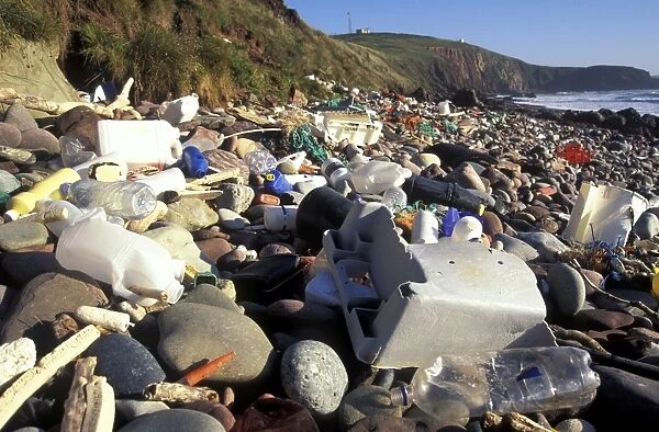 Strandline plastic litter, Freshwater West, Pembrokeshire Coast National Park