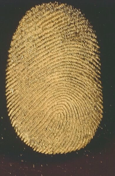 a Thumb print. Ashley Cooper  /  SpecialistStock