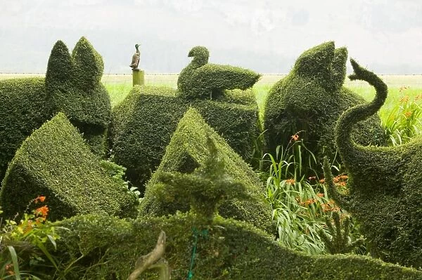 Topiary bushes on a caravan park near Kendal UK