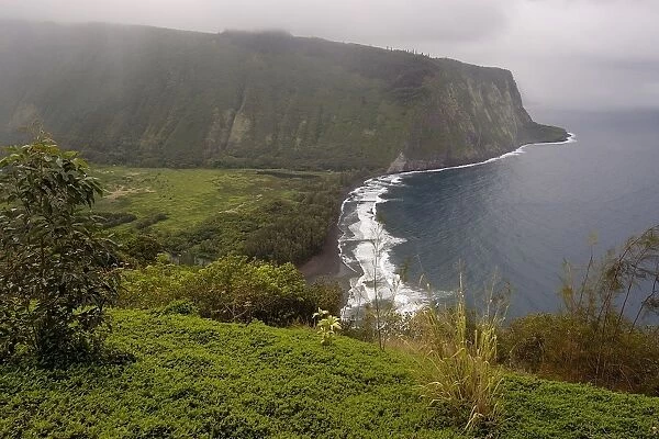 Waipio valley, Big Island, Hawaii