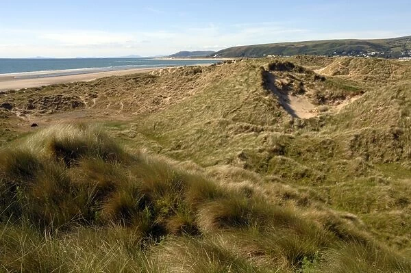 Ynyslas dunes, National Nature Reserve, Ceredigion, Wales, UK, Europe
