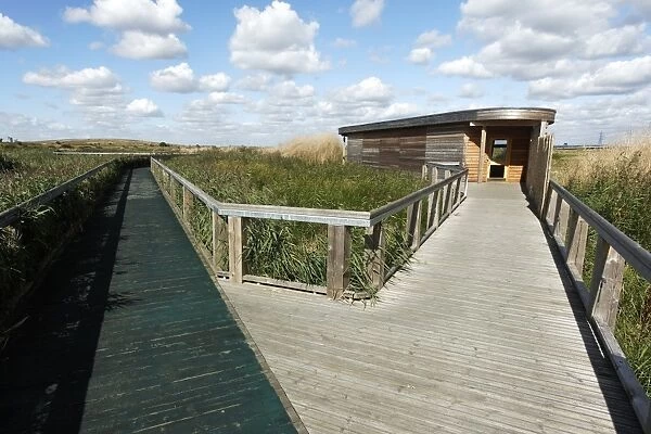 View of boardwalk and birdwatching hide in marshland habitat, Rainham Marshes RSPB Reserve, Thames Estuary, Essex