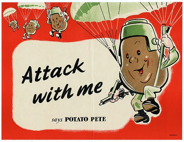 WWII: POSTER, c1943. Attack with me says Potato Pete. Lithograph, c1943