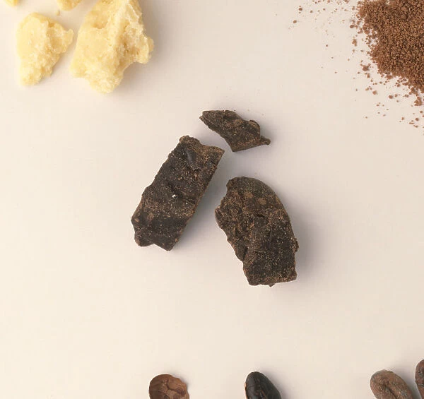 Cocoa beans, pieces of dark chocolate, white chocolate, and chocolate powder
