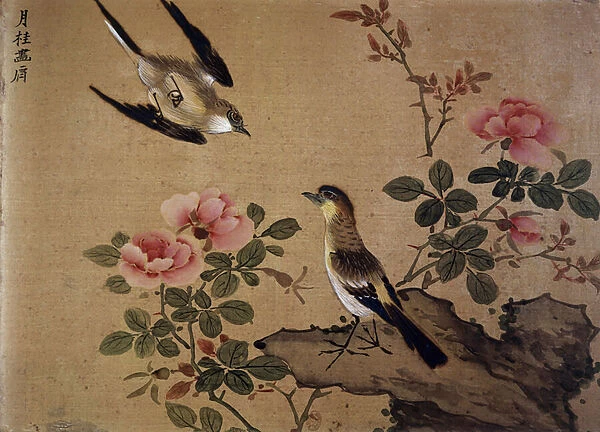Chinese art: flowers and birds. Painting on silk. 16th century Paris, B. N