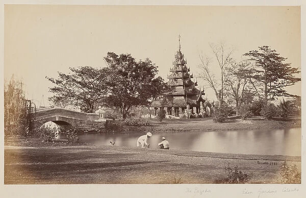 View of Eden Gardens, Calcutta, 1865 (b  /  w photo)