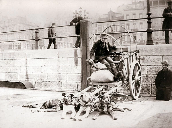 Man with dogcart, Antwerp, 1898. Artist: James Batkin