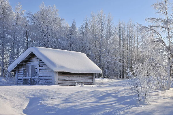 Winter Scene, Kuusamo, Northern Ostrobothnia, Finland