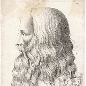 Da Vinci / Self / Profile