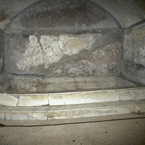 Herculaneum. Roman baths. Caldarium