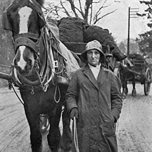 Lady with carthorse and coal, WW1