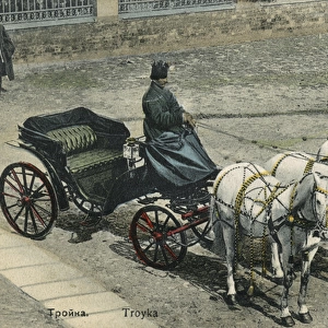 Troika on a Russian street