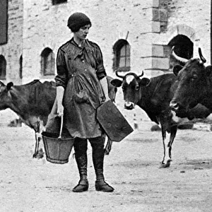Volunteer in Womens Land Army on Duchy of Cornwall farm