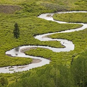 Classic meanders on East River, in Grand Mesa - Uncompahgre Gunnison National Forest, Crested Butte, The Rockies, Colorado, USA, North America