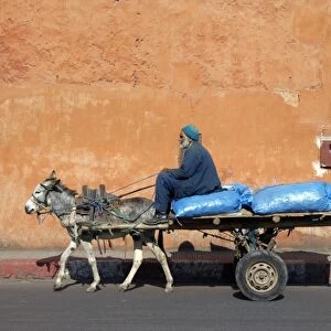 Donkey and cart transportation