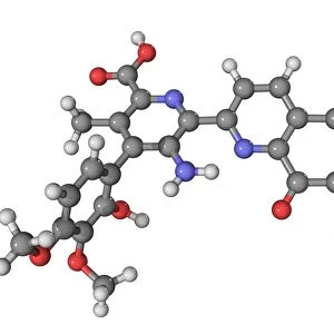 Streptonigrin antitumour drug molecule
