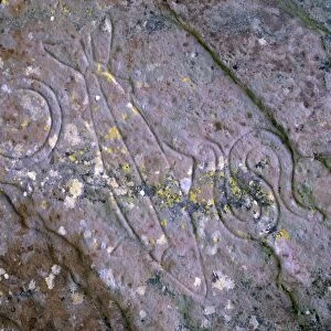 Pictish symbols of salmon