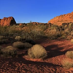 Snow Canyon State Park, St. George, Utah, United States of America, North America