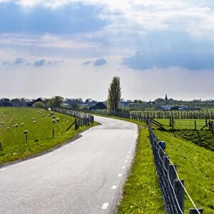 Winding rural road along the Zuiderdijk, Oosterleek, North Holland, Netherlands, Europe