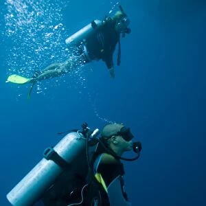 scuba diving, underwater photography, camera man. Cains, Queensland, Australia