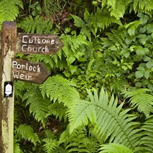 A sign on the South West Coast path in woodland near Porlock in north Devon, UK