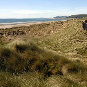 Ynyslas dunes, National Nature Reserve, Ceredigion, Wales, UK, Europe