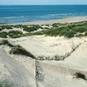 Sand dune blow-out reclamation on coastal dunes, Ynyslas Sand Dunes, Dyfi National Nature Reserve, Ceredigion, Dyfed, Wales