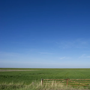 View of metal gate and coastal farmland, Jutland (Jylland), Denmark, may