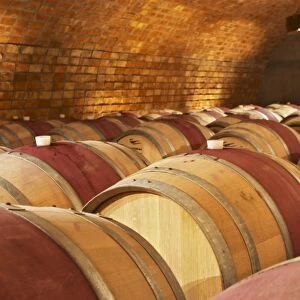 The barrel aging cellar. Bodega Familia Schroeder Winery, also called Saurus, Neuquen
